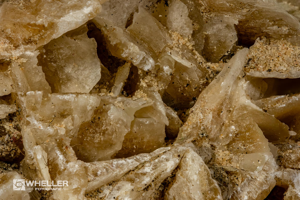 Sandrose 148St. Einzelbilder, 1:1, 1/400sek, F8,0, Iso1250